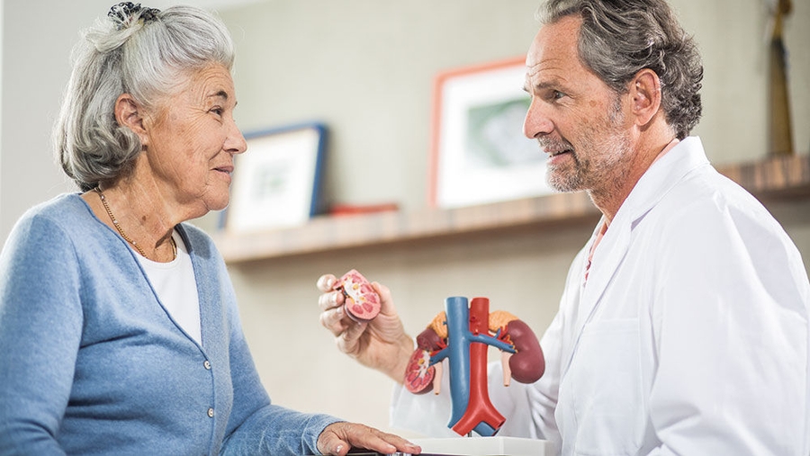 Chronic Kidney Disease: How to Live With it | B. Braun Malaysia