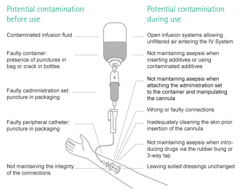 Microbiological Contamination