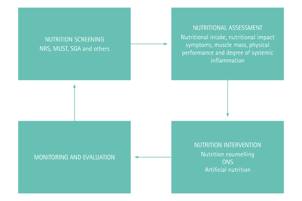 Nutrition care process