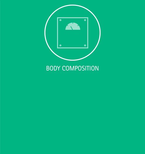 Body composition assessment