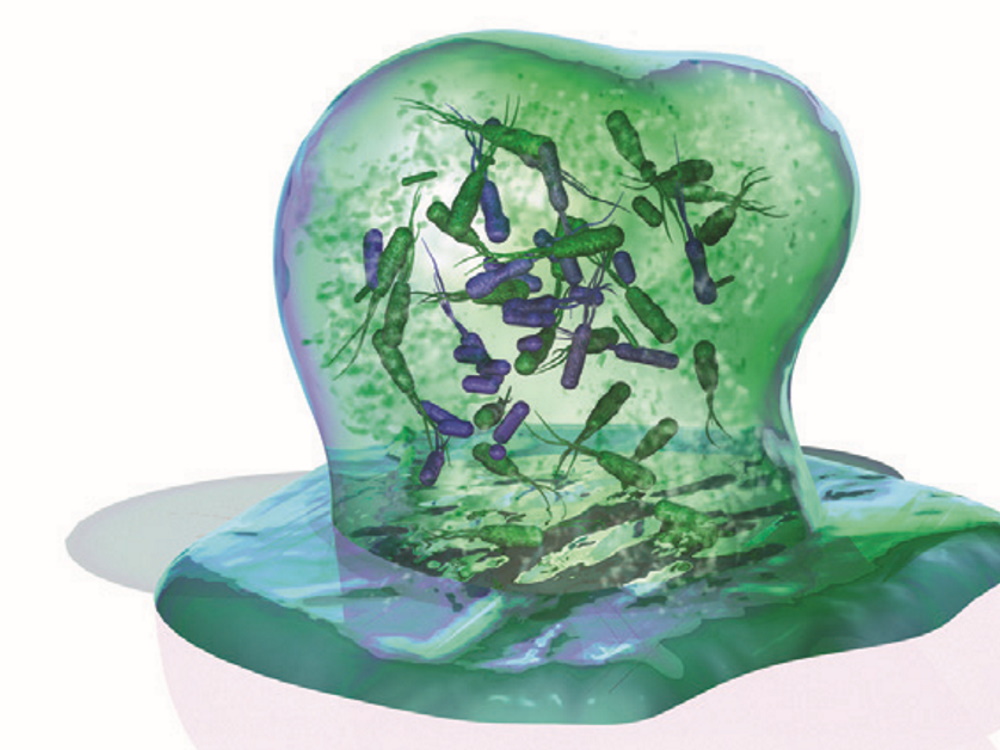 green cell with many small organisms inside